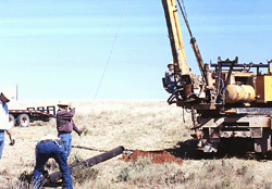 lineman